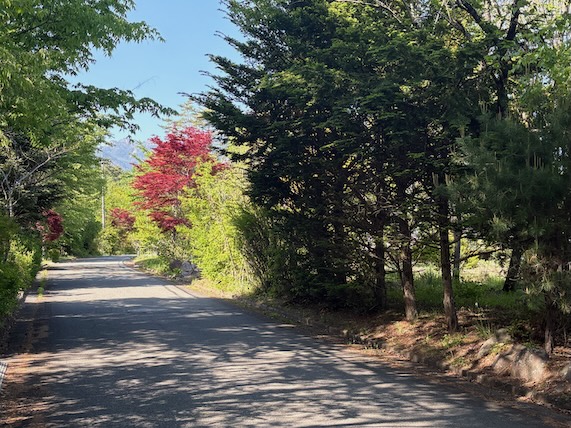 敷地に隣接する舗装道路（クリックで拡大）